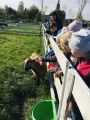 Wycieczka do gospodarstwa agroturystycznego Alpaki Cudaki – klasa 2B, foto nr 55, 